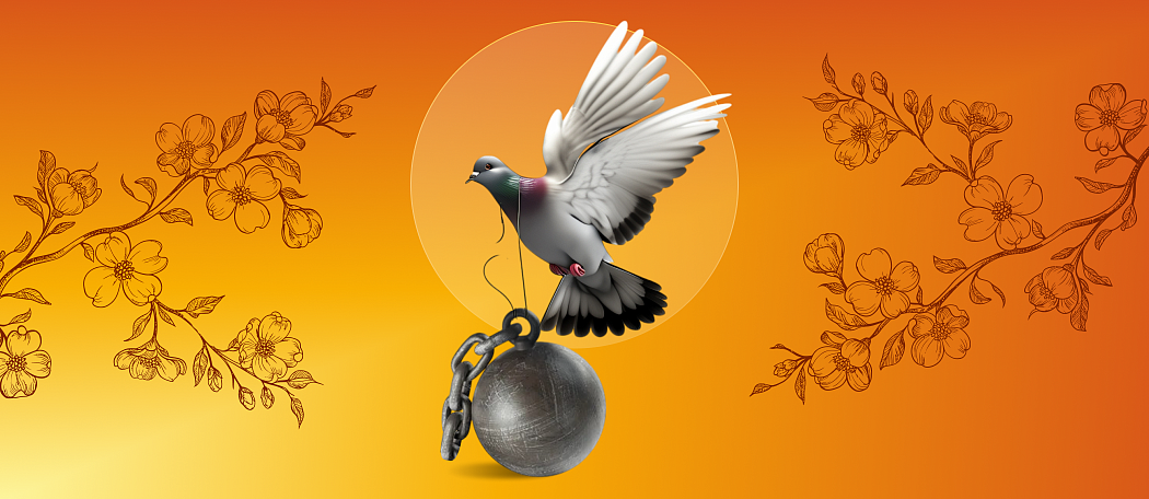 Микрозаймы — не кабала